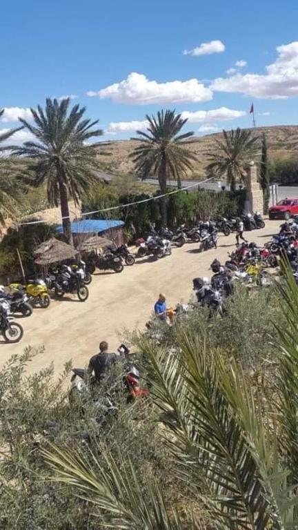 Un groupe de motards en halte sur le parking bordé de palmiers