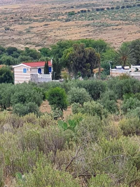 Le motel vu depuis l'oliveraie, adossé aux collines